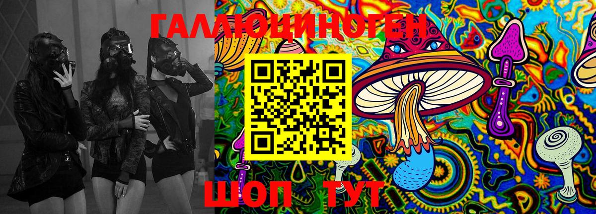 Псилоцибиновые грибы MAGIC MUSHROOMS Камышлов