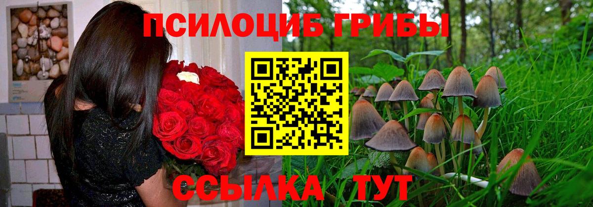 Псилоцибиновые грибы ЛСД  Галлюциногенные грибы прущие грибы  Камышлов  Вход с VPN 